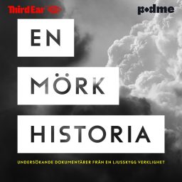 Artwork for En mörk historia