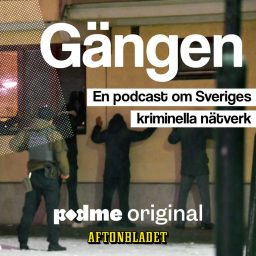 Artwork for Gängen
