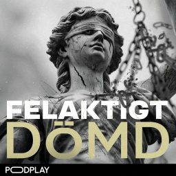 Artwork for Felaktigt Dömd