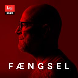 Artwork for Fængsel