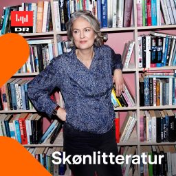 Artwork for Skønlitteratur