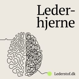 Artwork for Lederhjerne
