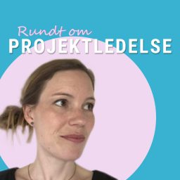 Artwork for Rundt om projektledelse