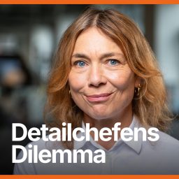 Artwork for Detailchefens Dilemma