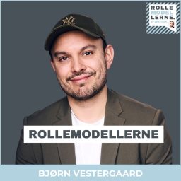 Artwork for Rollemodellerne by Bjørn Vestergaard