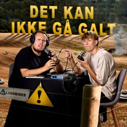 Artwork for Det kan ikke gå galt