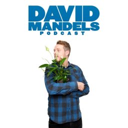 Artwork for David Mandels Podcast