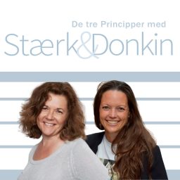 Artwork for De tre Principper med Stærk & Donkin