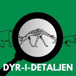 Artwork for Dyr i Detaljen