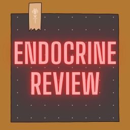 Artwork for Endocrinology Review