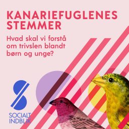Artwork for Kanariefuglenes stemmer