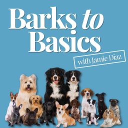 Artwork for Barks to Basics