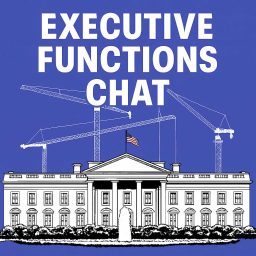 Artwork for Executive Functions Chat