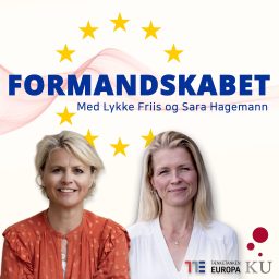 Artwork for Formandskabet