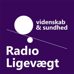 Artwork for Radio Ligevægt