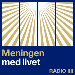 Artwork for Meningen med livet