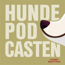 Artwork for Hundepodcasten