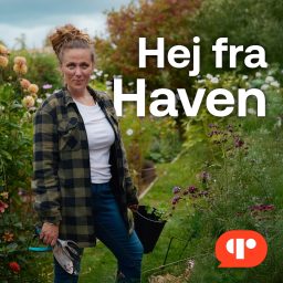 Artwork for Hej fra Haven