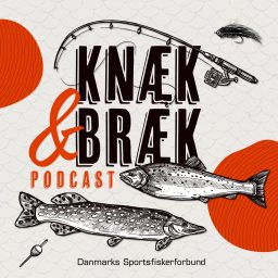 Artwork for Knæk og Bræk