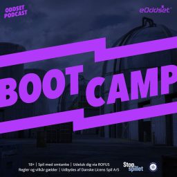 Artwork for Bootcamp