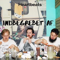 Artwork for Indbegrebet af...
