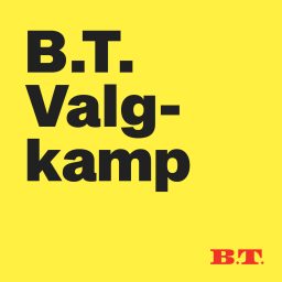 Artwork for B.T. Valgkamp