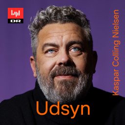 Artwork for Udsyn