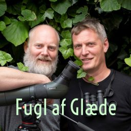 Artwork for Fugl af Glæde Podcast