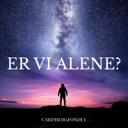Artwork for Er vi alene?