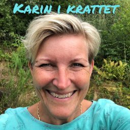 Artwork for Karin i Krattet