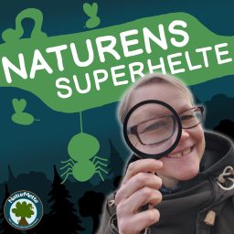 Artwork for Naturens Superhelte