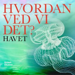 Artwork for Hvordan ved vi det?