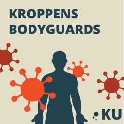 Artwork for Kroppens bodyguards