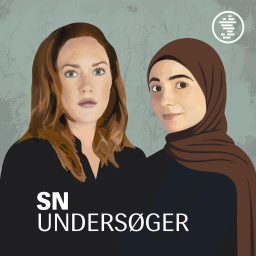 Artwork for SN Undersøger