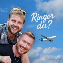 Artwork for Ringer du?
