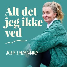 Artwork for Alt det jeg ikke ved