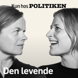Artwork for Den levende