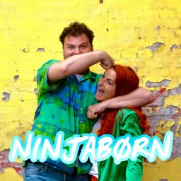 Artwork for Ninjabørn