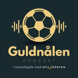 Artwork for Guldnålen