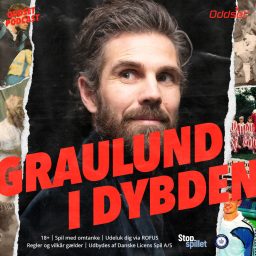 Artwork for Graulund I Dybden