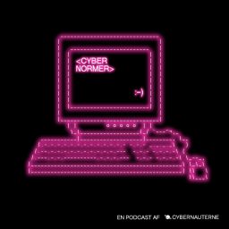 Artwork for Cybernormer