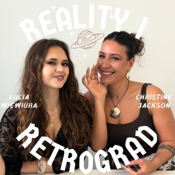 Artwork for Reality i retrograd
