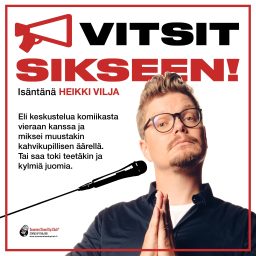 Artwork for Vitsit Sikseen!