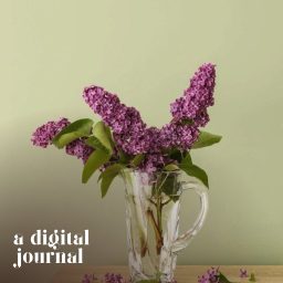 Artwork for A Digital Journal