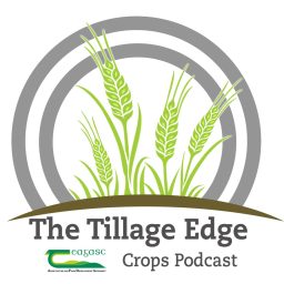 Artwork for The Tillage Edge