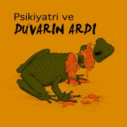 Artwork for Psikiyatri ve Duvarın Ardı