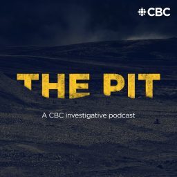 Artwork for The Pit
