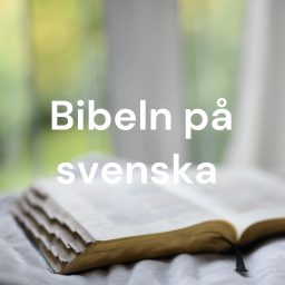 Artwork for Bibeln på svenska