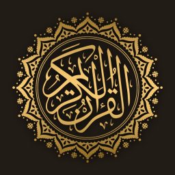 Artwork for Quran For Lifeline