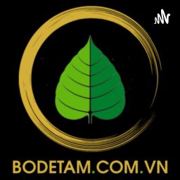 Artwork for BỒ ĐỀ TÂM